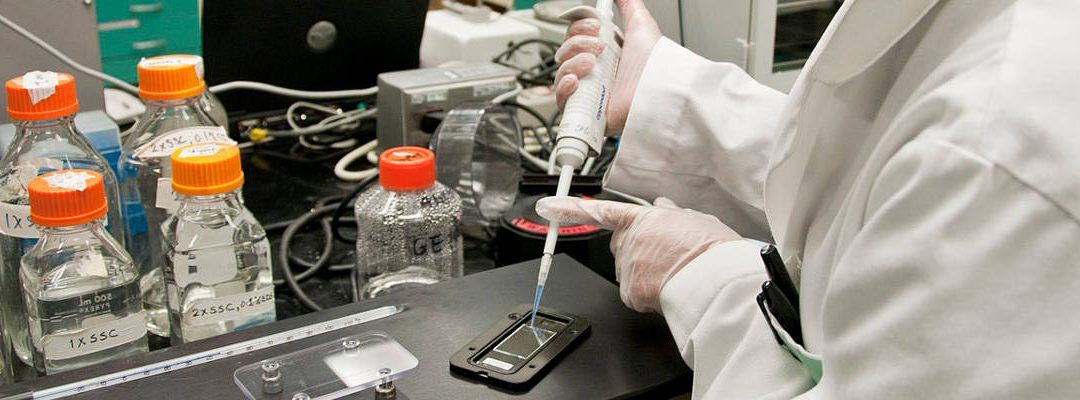 Siguen probando la importancia del colesterol