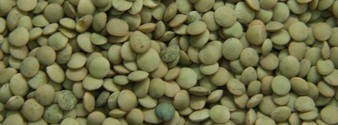 Alimentos permitidos por la Isodieta