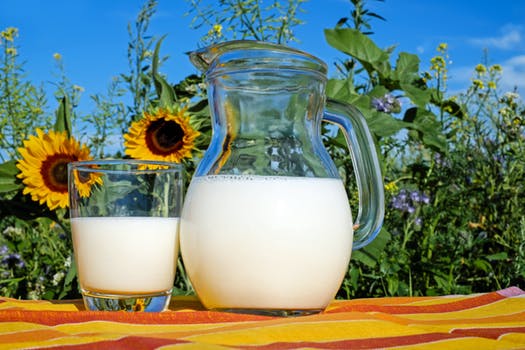 El valor nutricional de la Leche Desnatada